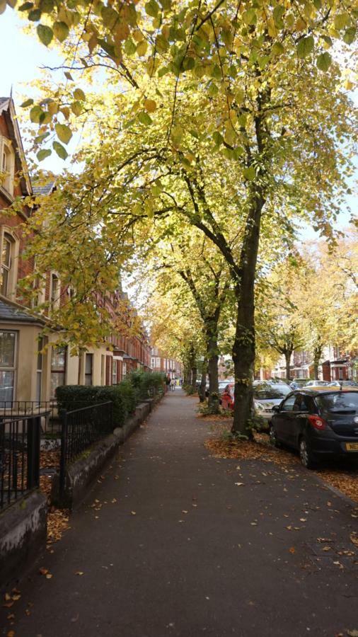 Big Yellow Door In Queens Quarter بلفاست المظهر الخارجي الصورة